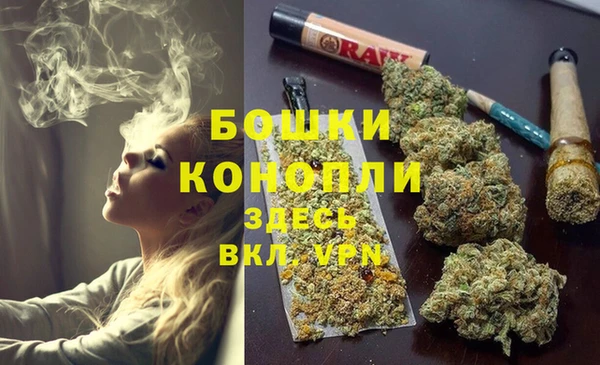 a pvp Белокуриха