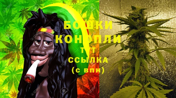 прущий лед Дмитриев