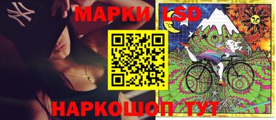 стаф Новокубанск