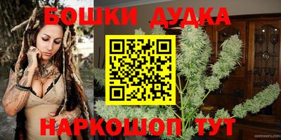 стаф Новокубанск