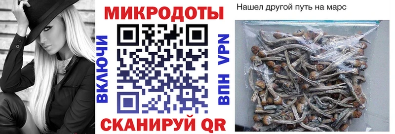 Псилоцибиновые грибы Cubensis  Острогожск 