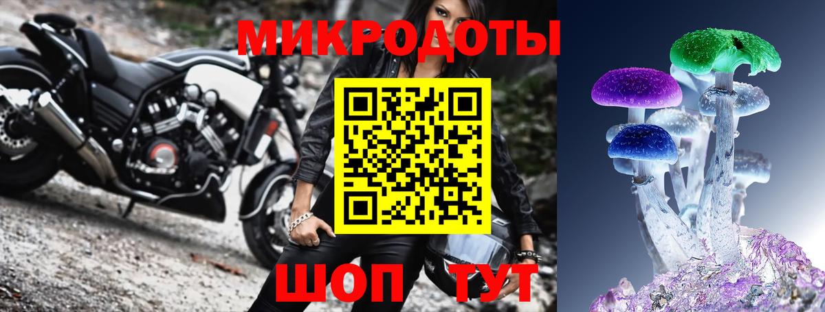 Галлюциногенные грибы Psilocybe Острогожск